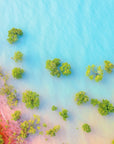 Brielle - Broome Wall Art - Digital Download - Days Adrift