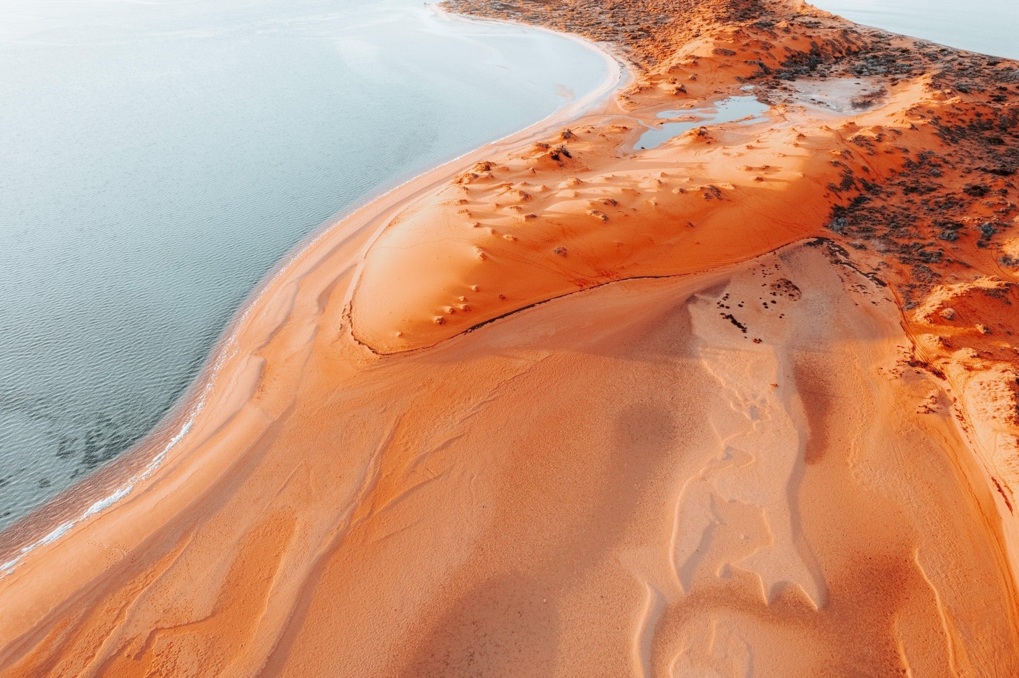 Bronwen - Shark Bay Wall Art - Digital Download - Days Adrift