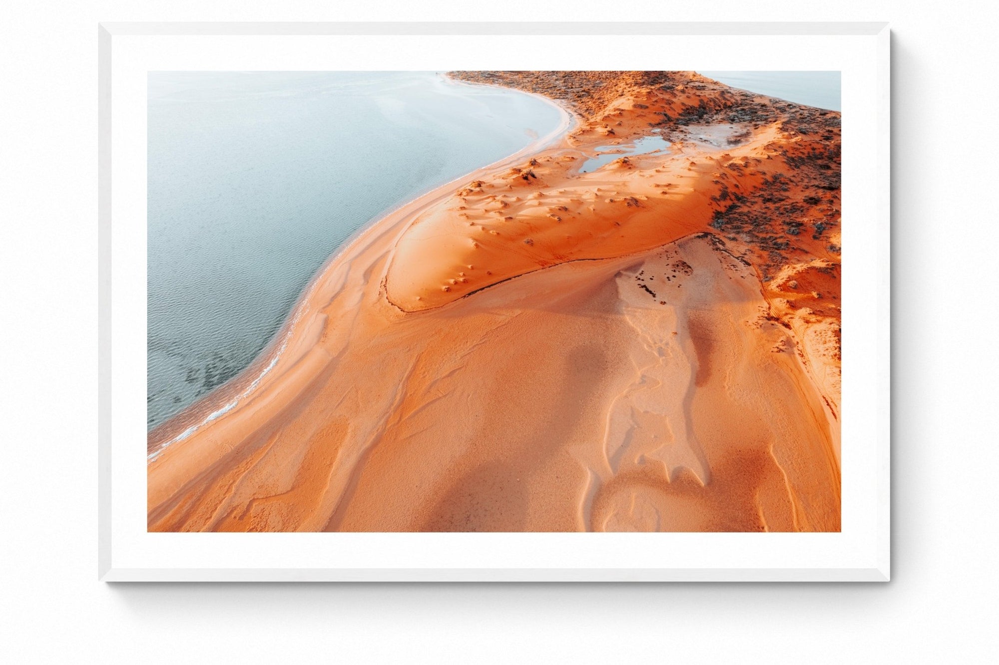 Bronwen - Shark Bay Wall Art - Framed Print - Days Adrift