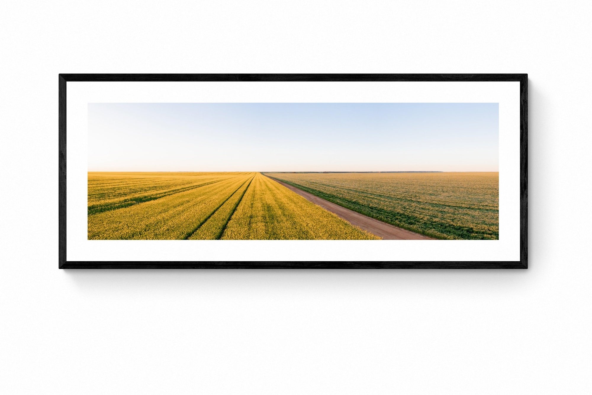 Cade - Mingenew Wall Art - Framed Print - Days Adrift