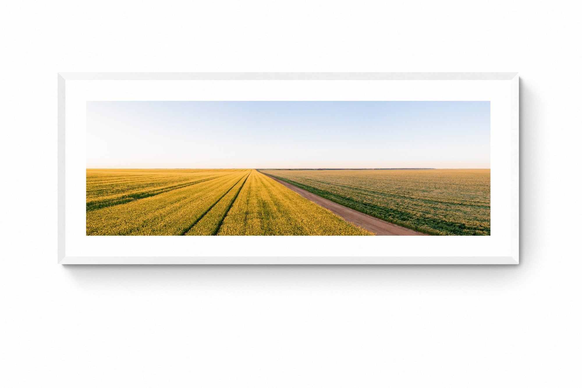 Cade - Mingenew Wall Art - Framed Print - Days Adrift