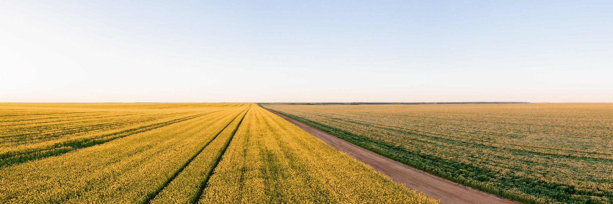 Cade - Mingenew Wall Art - Framed Print - Days Adrift