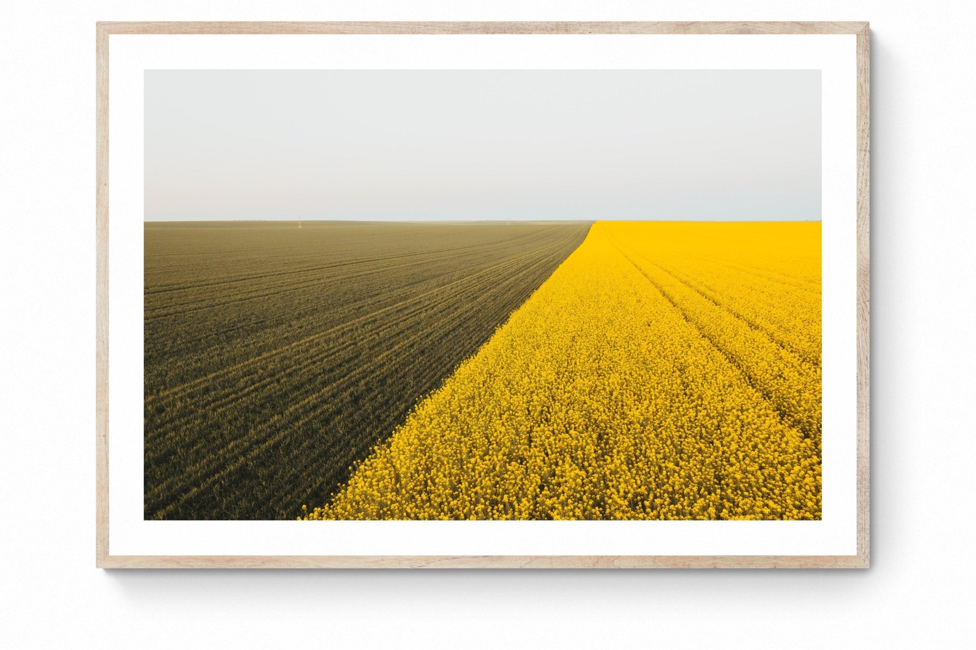 Cadence - Mingenew Wall Art - Digital Download - Days Adrift