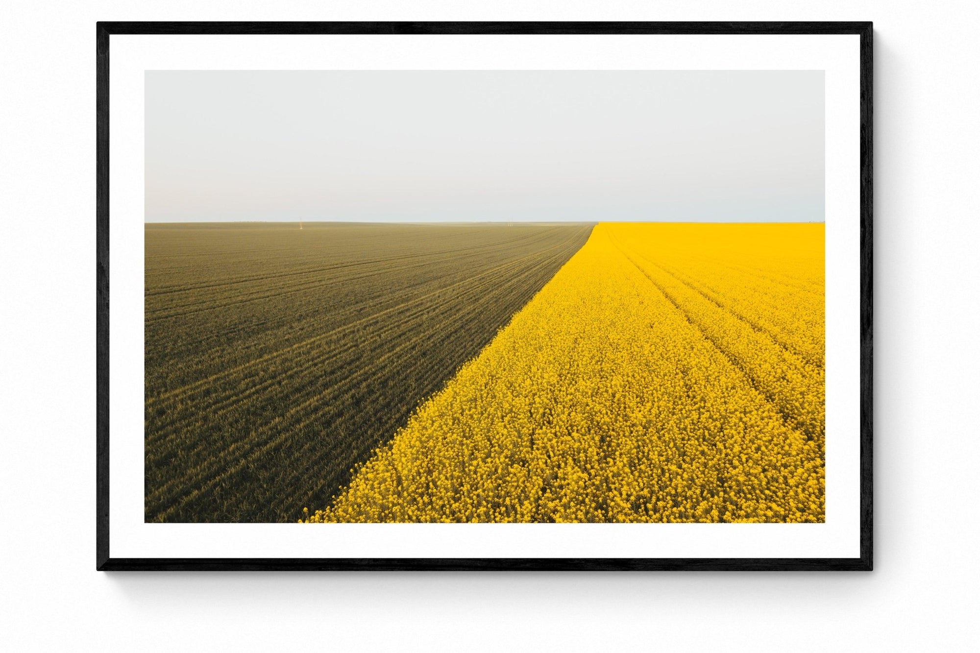 Cadence - Mingenew Wall Art - Framed Print - Days Adrift