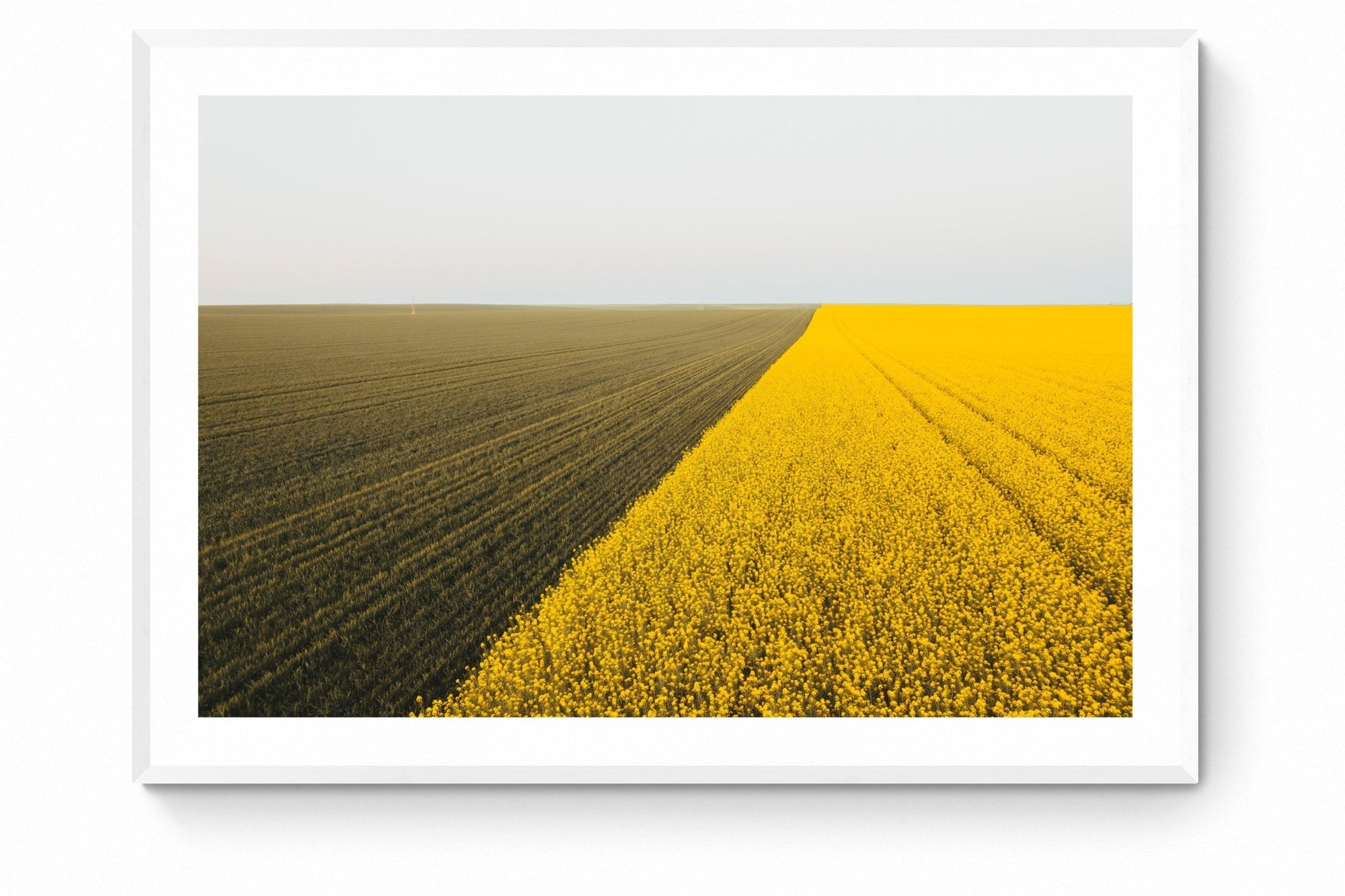 Cadence - Mingenew Wall Art - Framed Print - Days Adrift