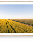 Caelan - Mingenew Wall Art - Digital Download - Days Adrift