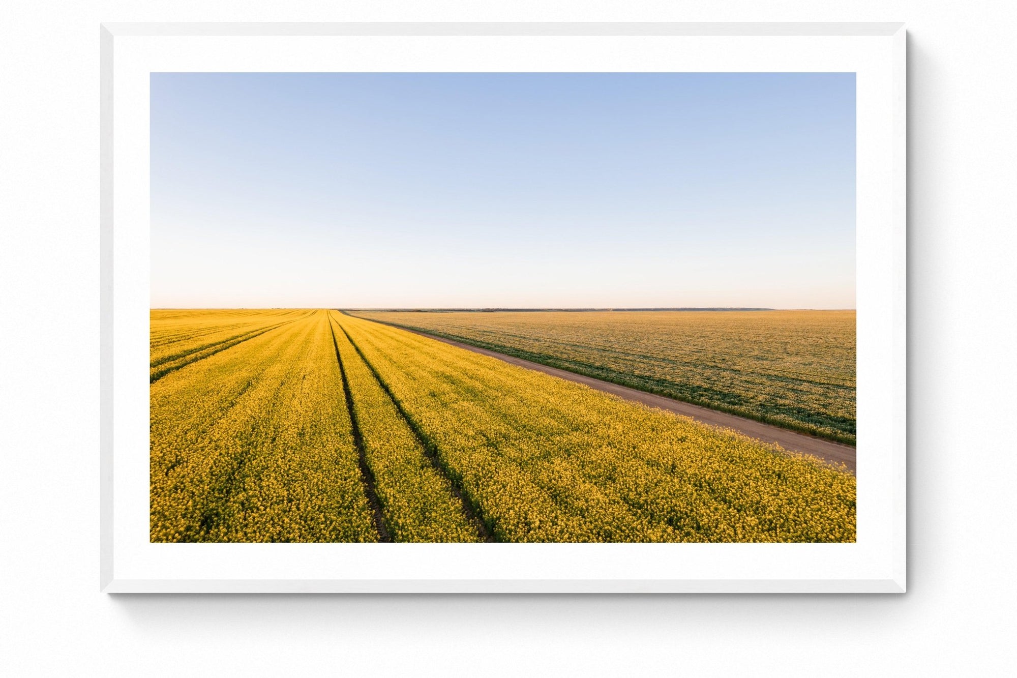 Caelan - Mingenew Wall Art - Framed Print - Days Adrift