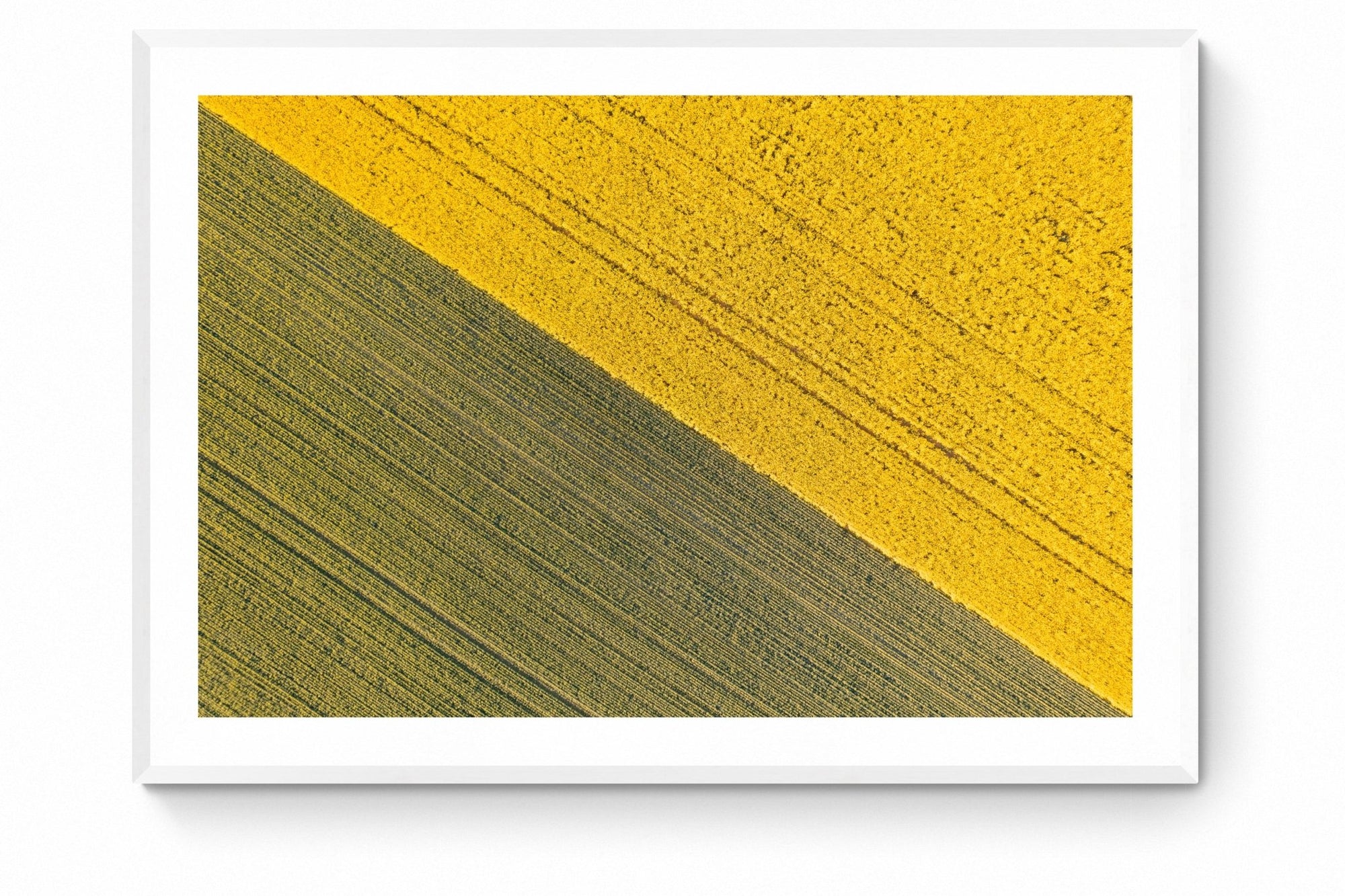 Camila - Mingenew Wall Art - Framed Print - Days Adrift