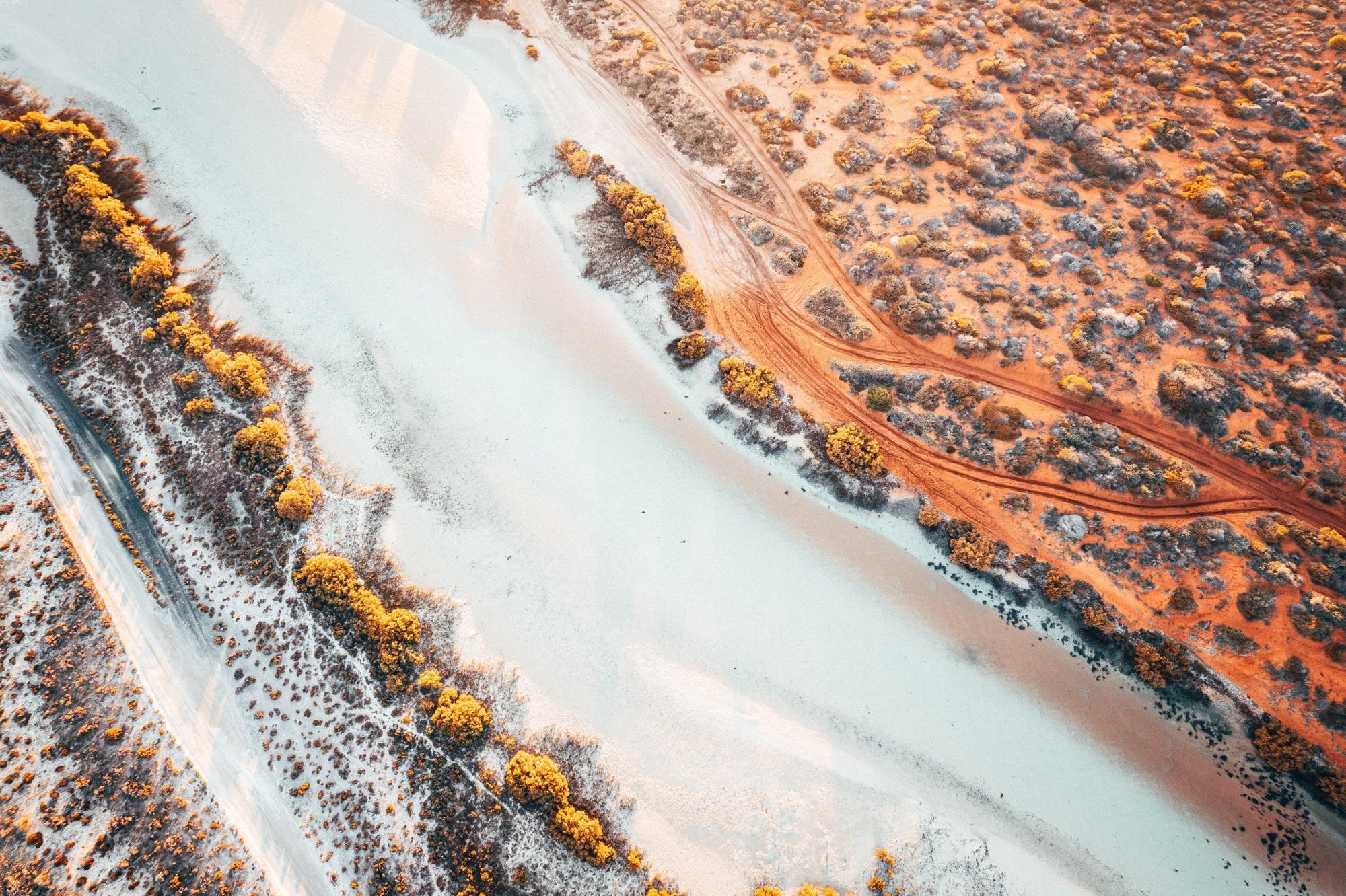 Charles - Shark Bay Wall Art - Digital Download - Days Adrift