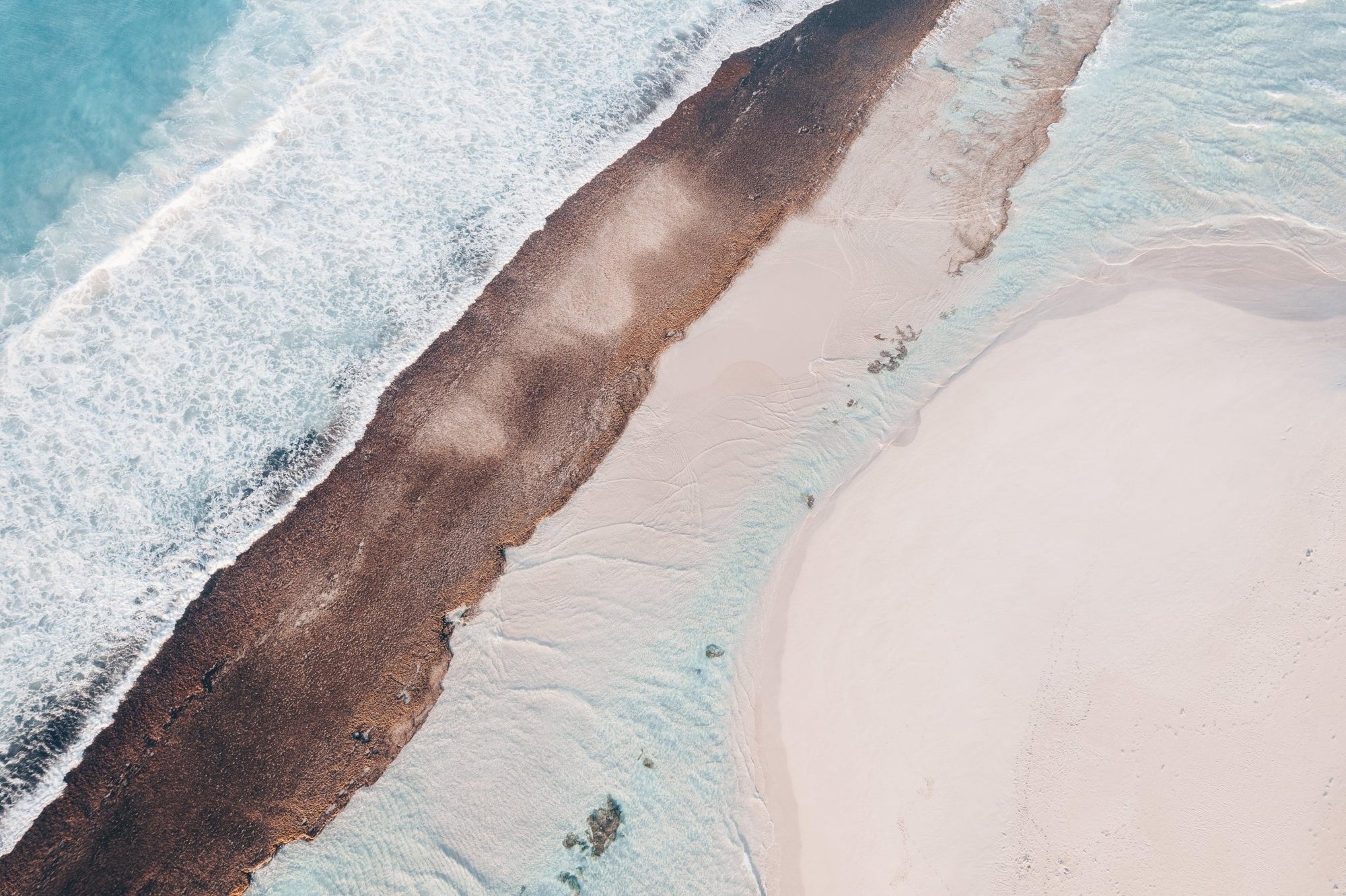 Clara - Esperance Wall Art - Digital Download - Days Adrift