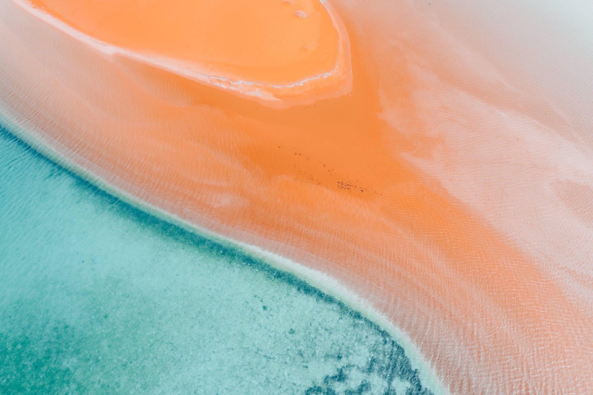 Cole - Shark Bay Wall Art - Digital Download - Days Adrift