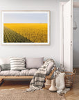 Colton - Mingenew Wall Art - Digital Download - Days Adrift