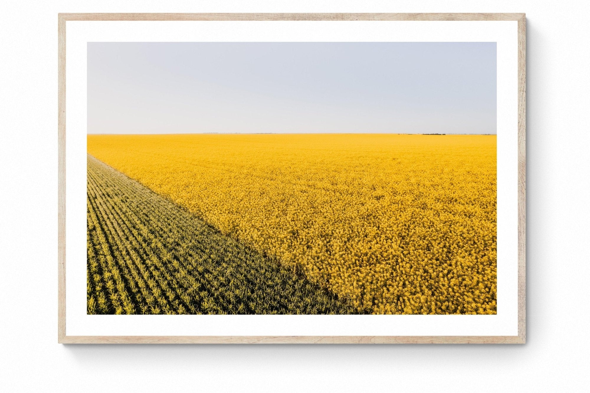 Colton - Mingenew Wall Art - Digital Download - Days Adrift