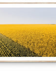 Colton - Mingenew Wall Art - Digital Download - Days Adrift