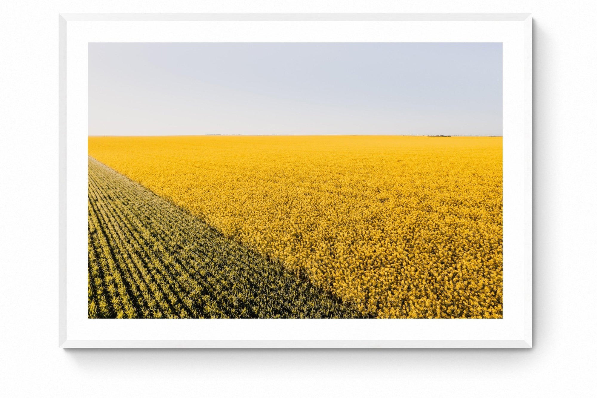 Colton - Mingenew Wall Art - Framed Print - Days Adrift