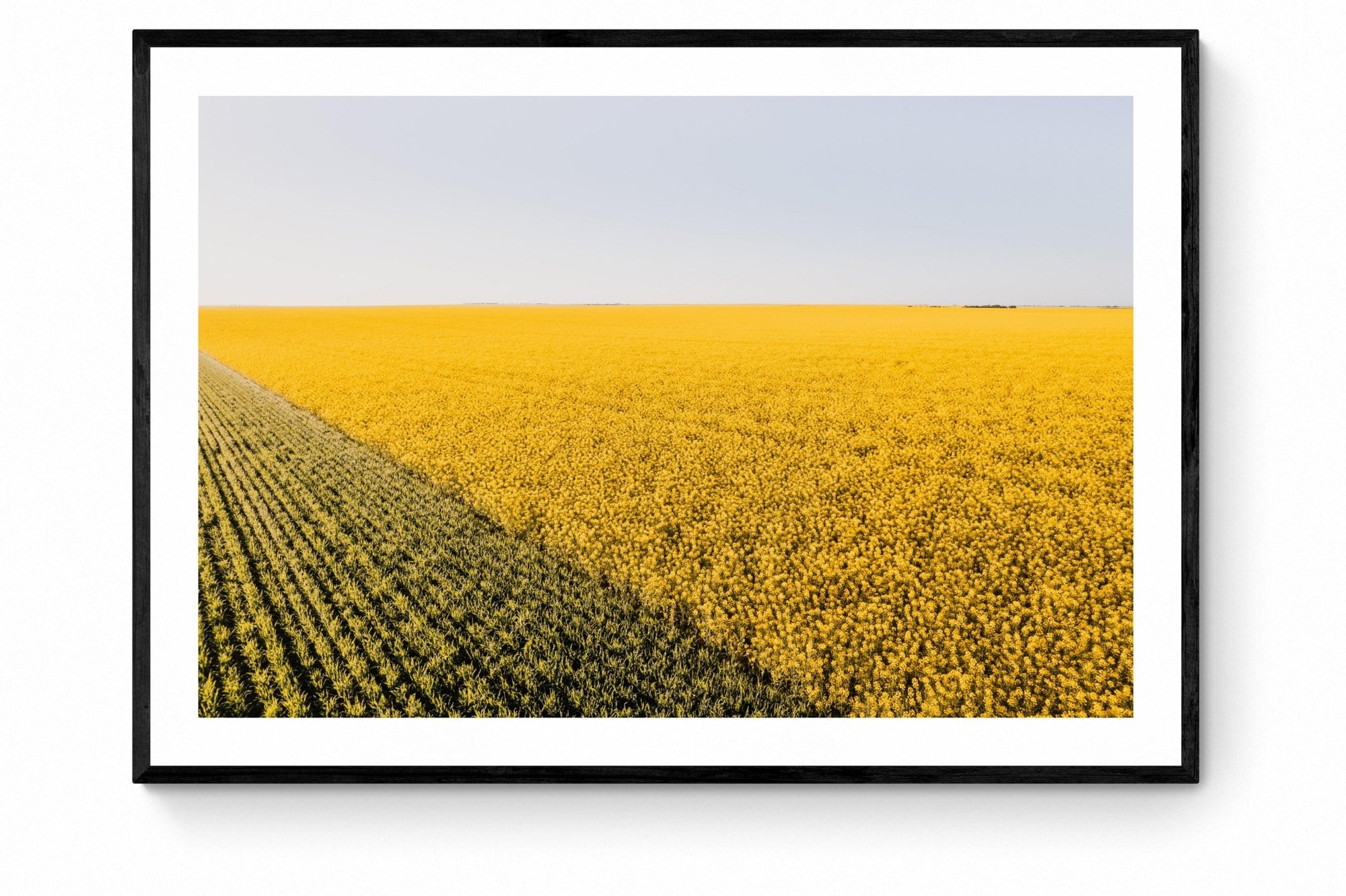 Colton - Mingenew Wall Art - Framed Print - Days Adrift