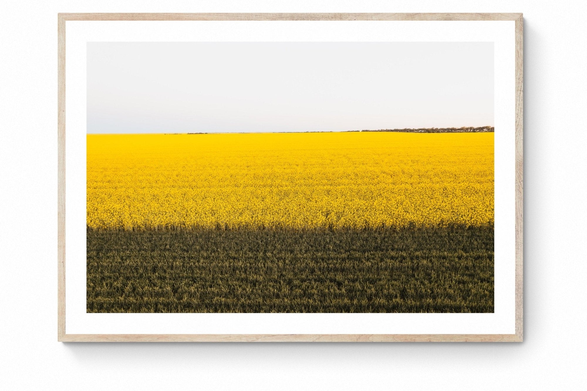 Danae - Mingenew Wall Art - Digital Download - Days Adrift
