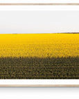Danae - Mingenew Wall Art - Digital Download - Days Adrift