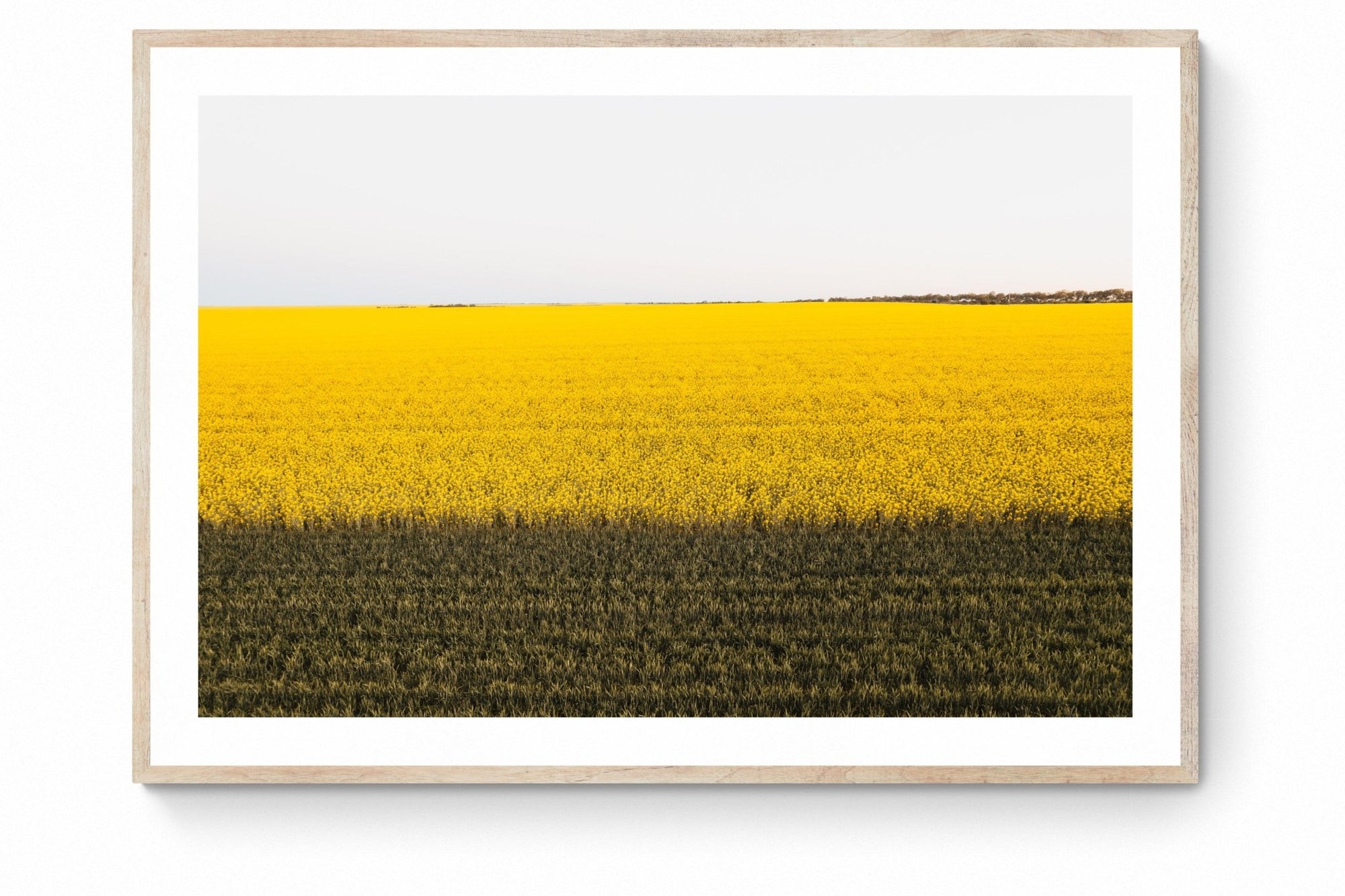 Danae - Mingenew Wall Art - Framed Print - Days Adrift