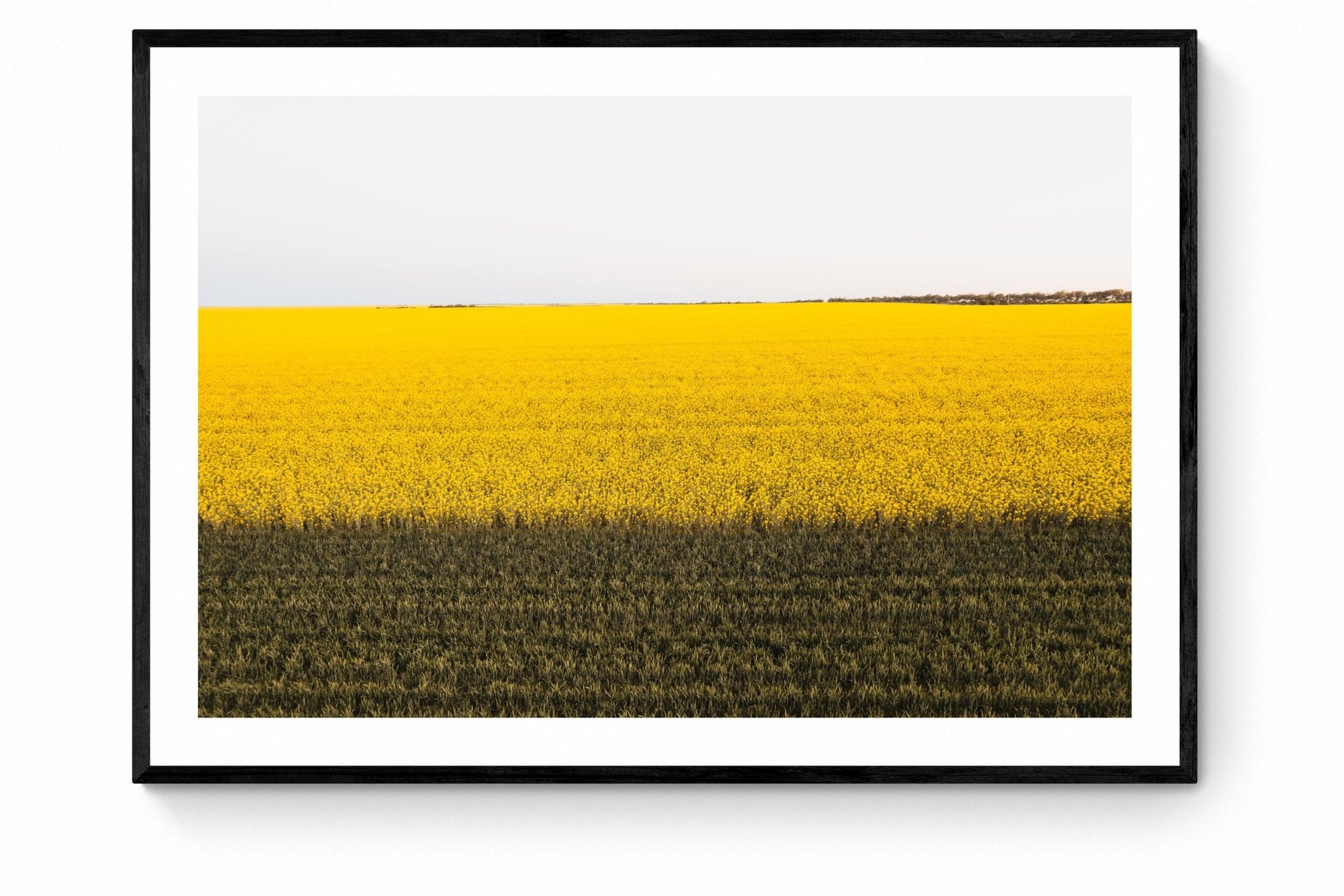 Danae - Mingenew Wall Art - Framed Print - Days Adrift