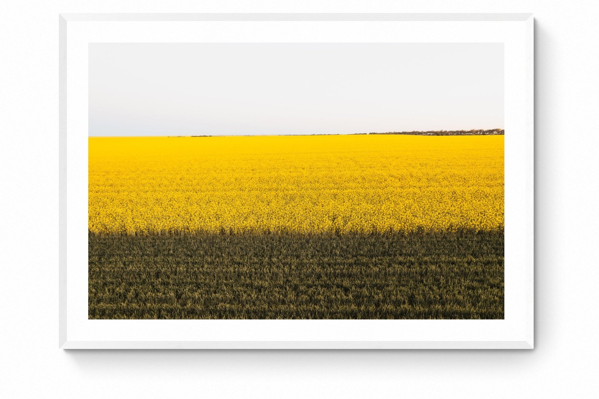 Danae - Mingenew Wall Art - Framed Print - Days Adrift