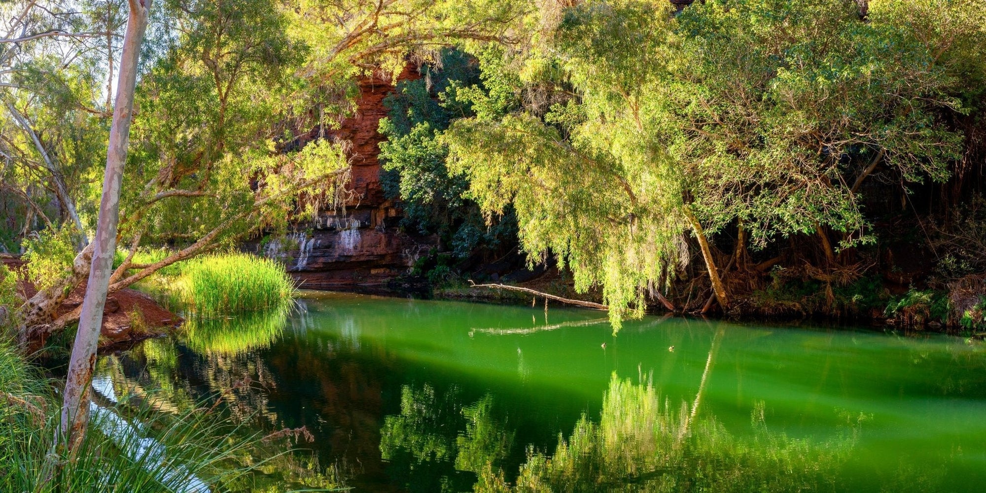 Daniel - Karijini Wall Art - Digital Download - Days Adrift