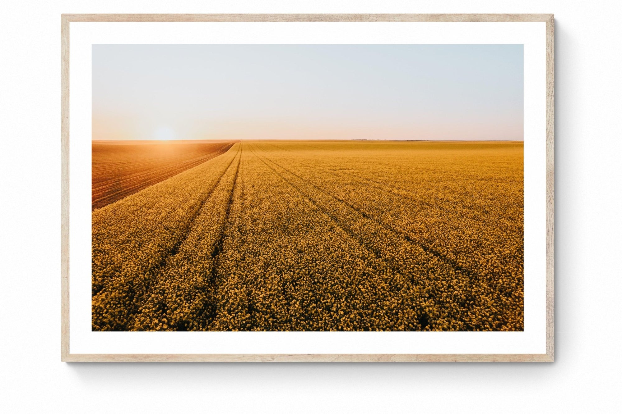 Dash - Mingenew Wall Art - Digital Download - Days Adrift