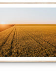 Dash - Mingenew Wall Art - Digital Download - Days Adrift