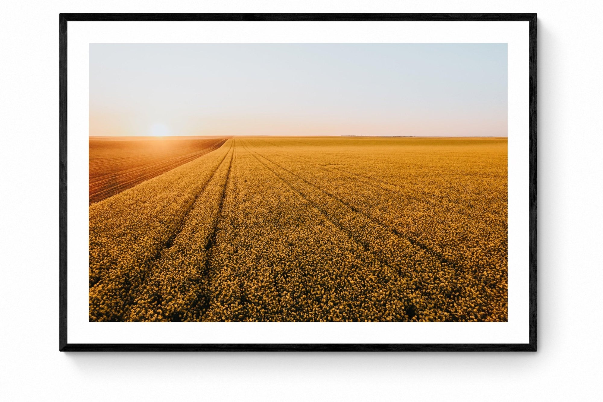 Dash - Mingenew Wall Art - Framed Print - Days Adrift