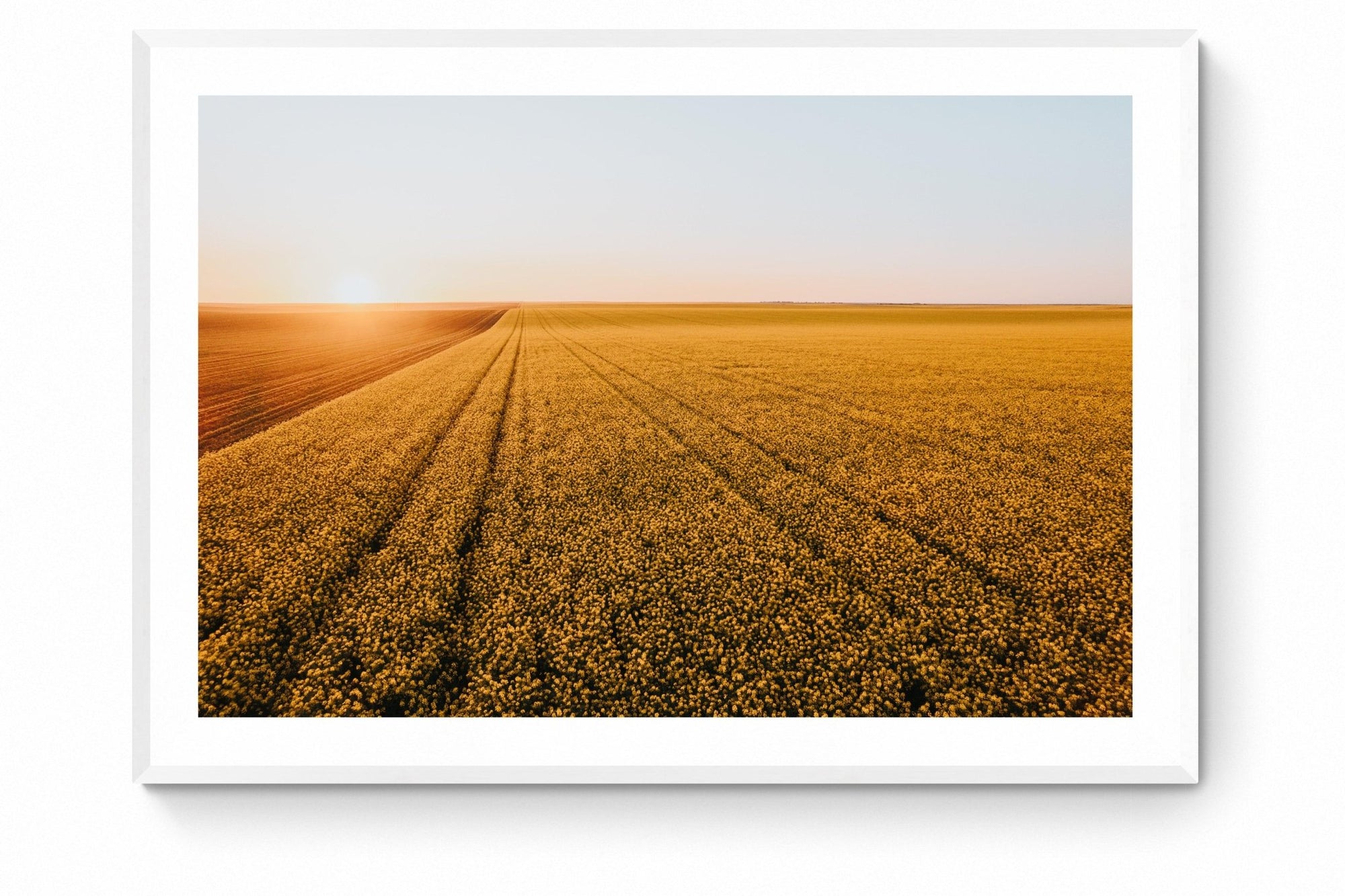 Dash - Mingenew Wall Art - Framed Print - Days Adrift