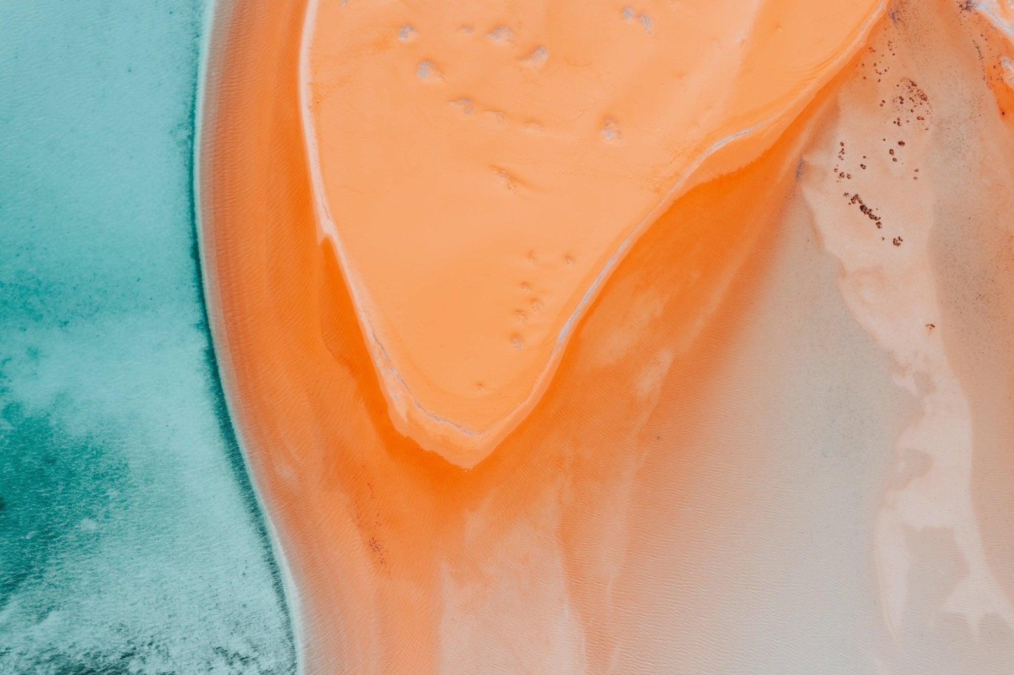 Denver - Shark Bay Wall Art - Digital Download - Days Adrift