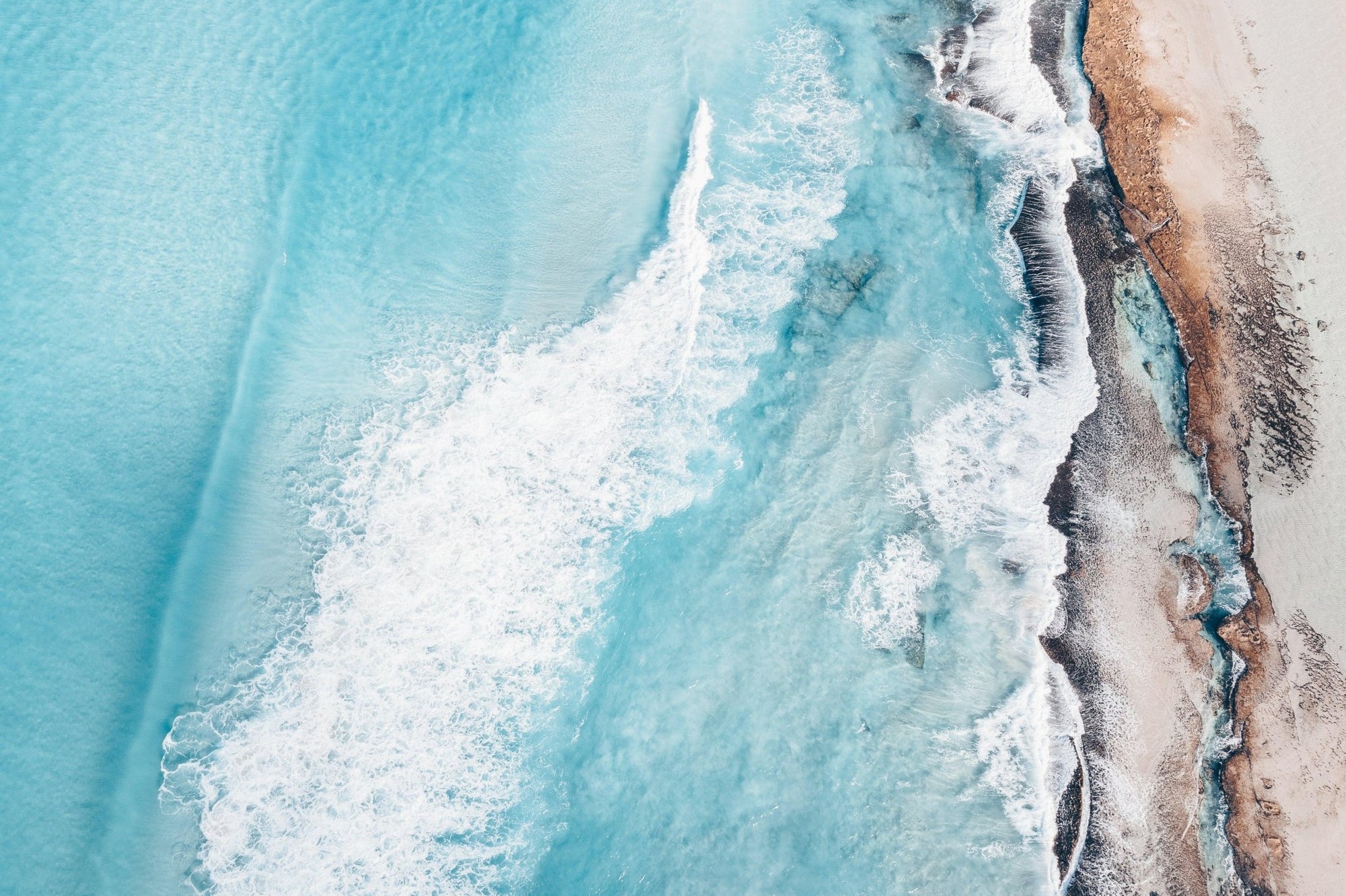 Edward - Esperance Wall Art - Digital Download - Days Adrift