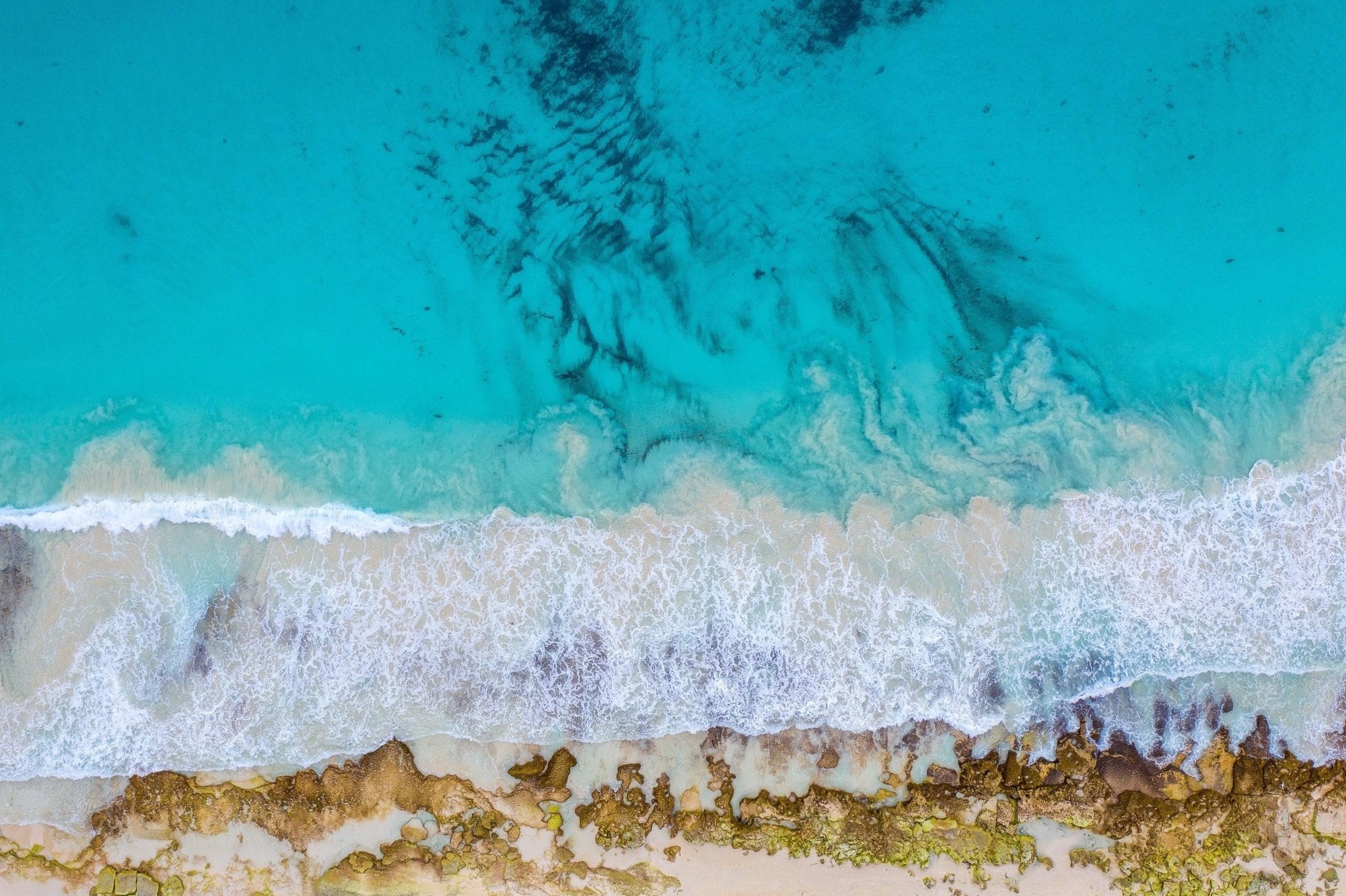 Eleanor - Hamelin Bay Wall Art - Digital Download - Days Adrift