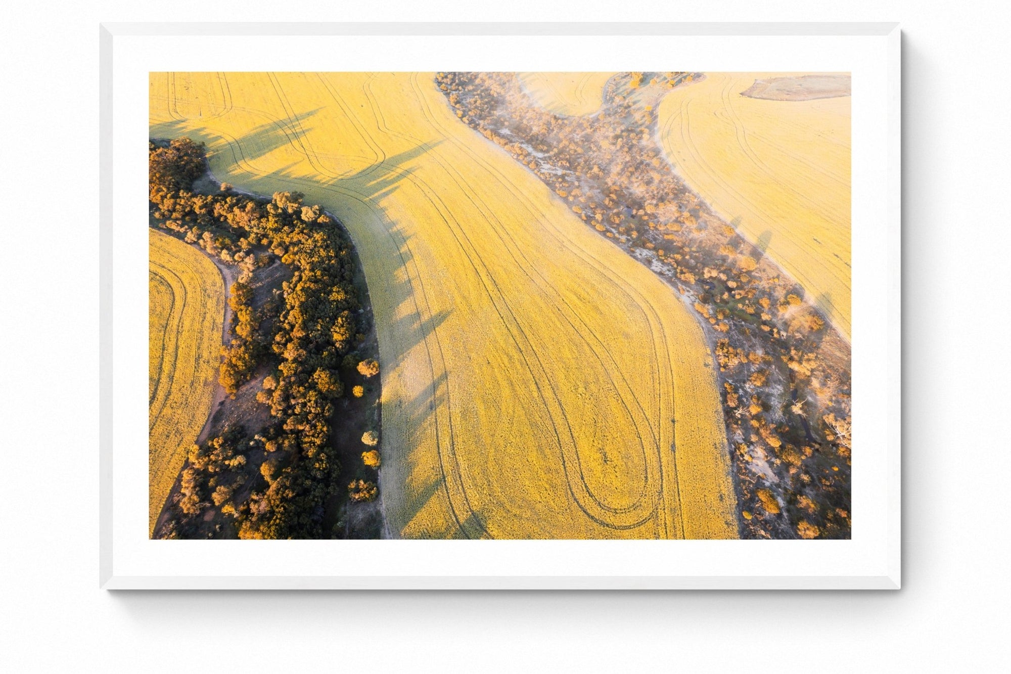 Emil - Mingenew Wall Art - Framed Print - Days Adrift