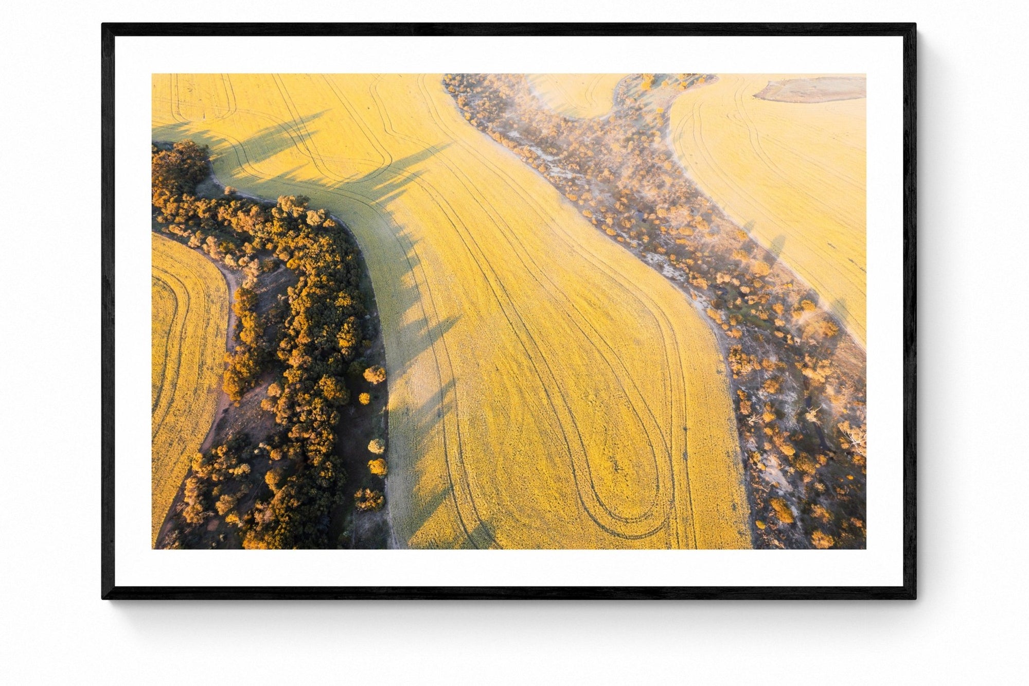 Emil - Mingenew Wall Art - Framed Print - Days Adrift