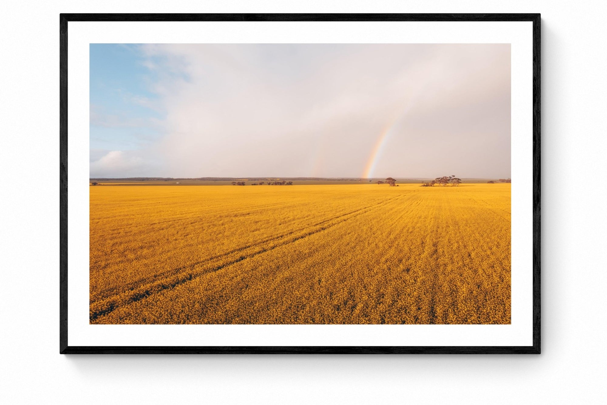 Evie - Mingenew Wall Art - Framed Print - Days Adrift