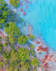 Faiz - Broome Wall Art - Digital Download - Days Adrift