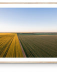 Faris - Mingenew Wall Art - Digital Download - Days Adrift