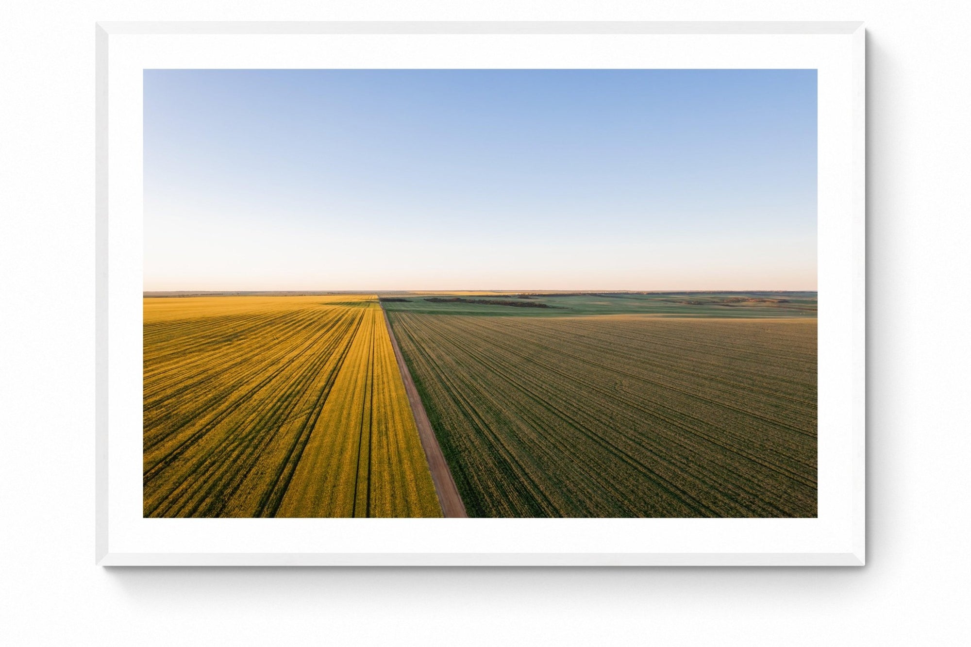 Faris - Mingenew Wall Art - Framed Print - Days Adrift