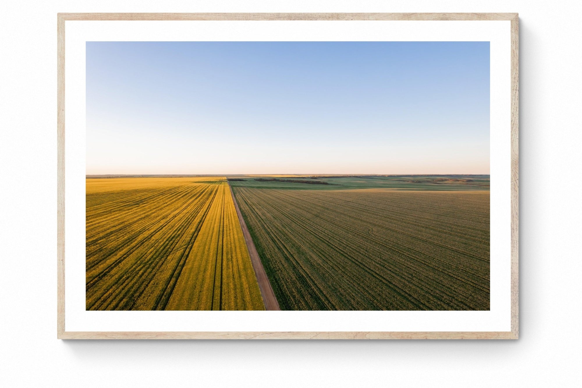 Faris - Mingenew Wall Art - Framed Print - Days Adrift