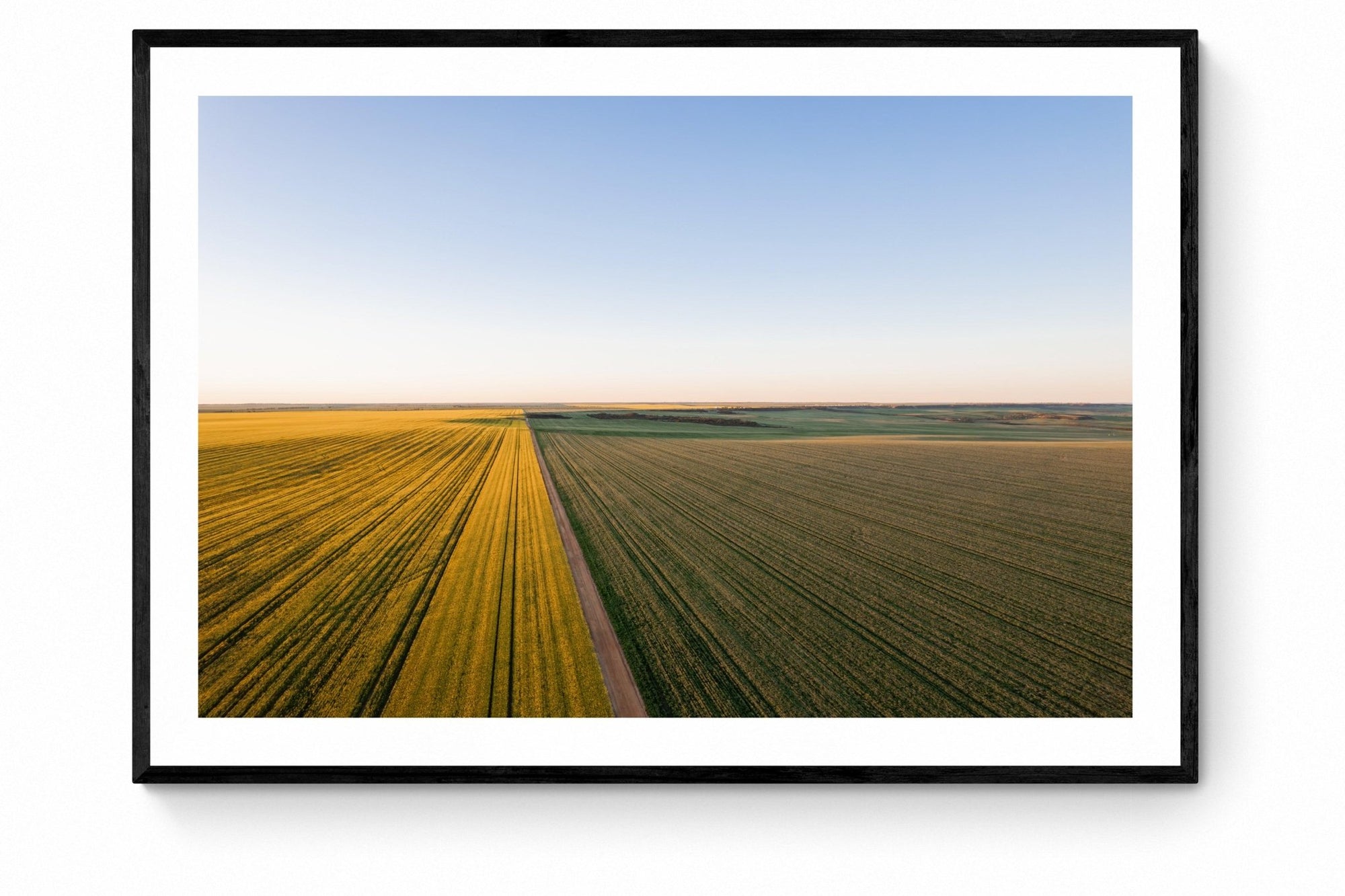 Faris - Mingenew Wall Art - Framed Print - Days Adrift