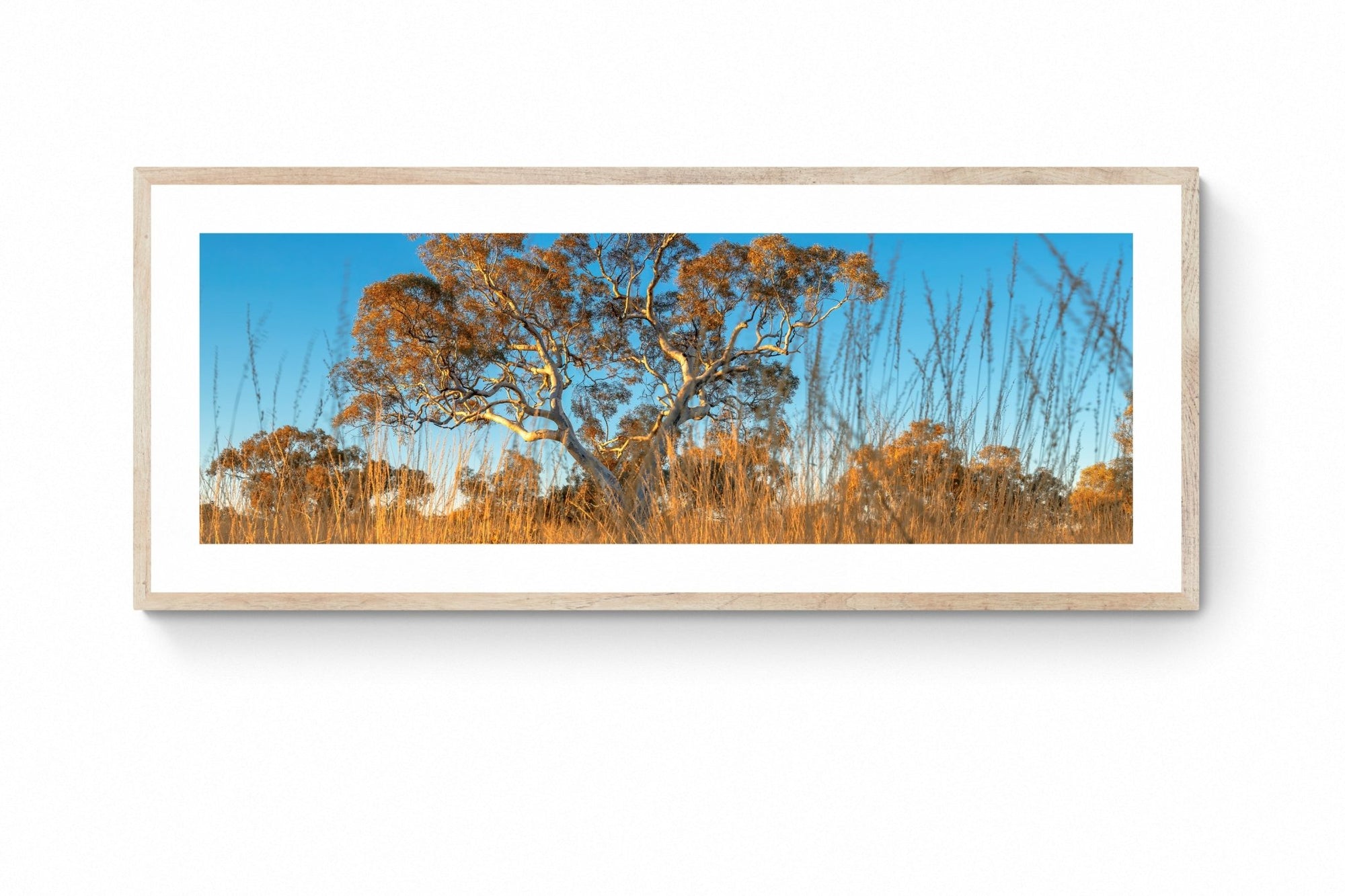 Fletcher - Karijini Wall Art - Digital Download - Days Adrift