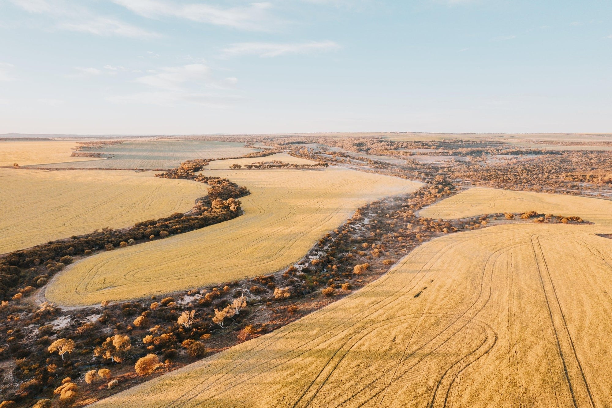 Ginny - Mingenew Wall Art - Digital Download - Days Adrift