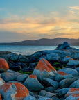 Haida - Honeymoon Point Wall Art - Digital Download - Days Adrift