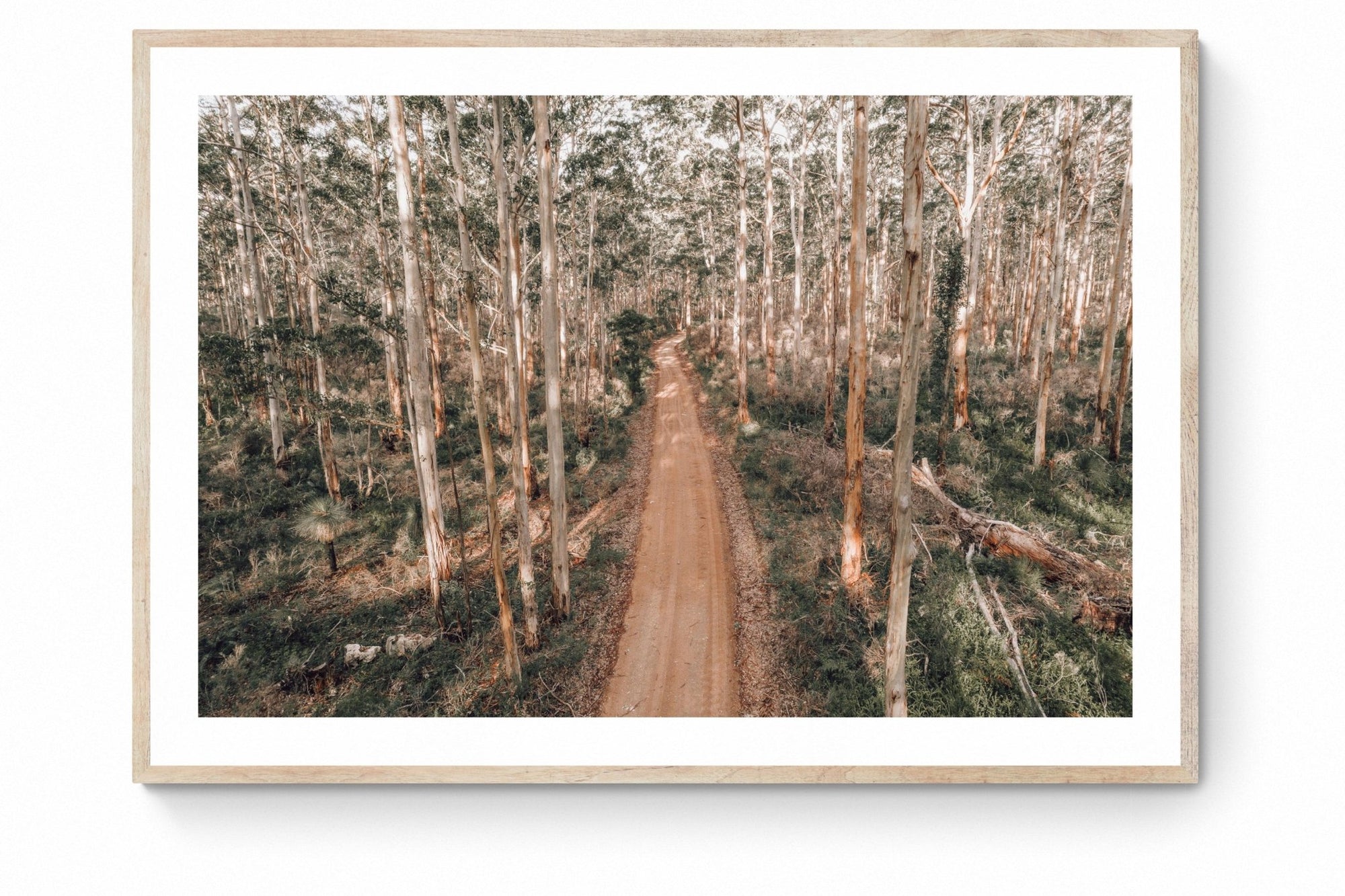 Harriet - Boranup Wall Art - Digital Download - Days Adrift