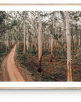 Harry - Boranup Wall Art - Digital Download - Days Adrift