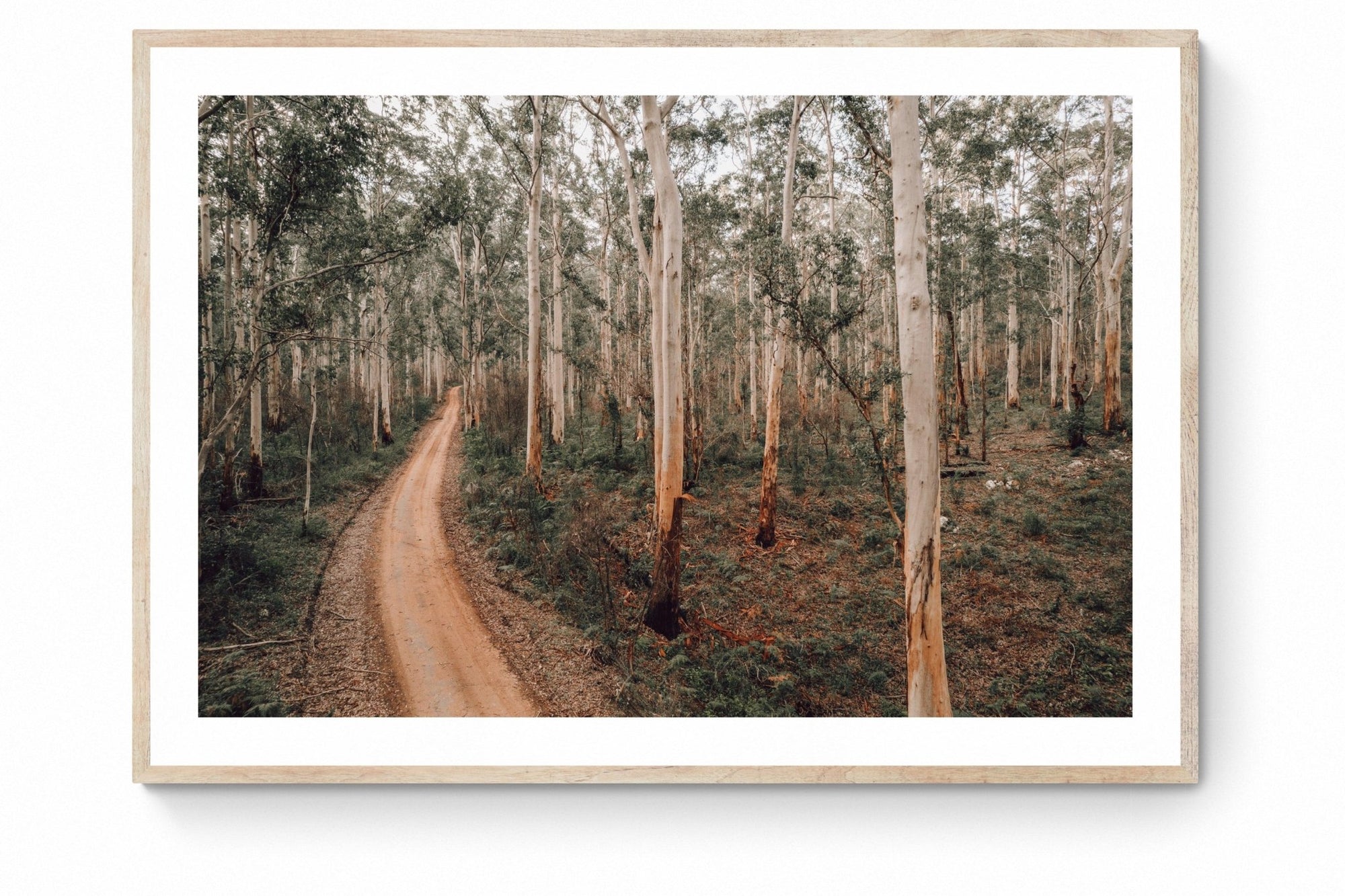 Harry - Boranup Wall Art - Digital Download - Days Adrift