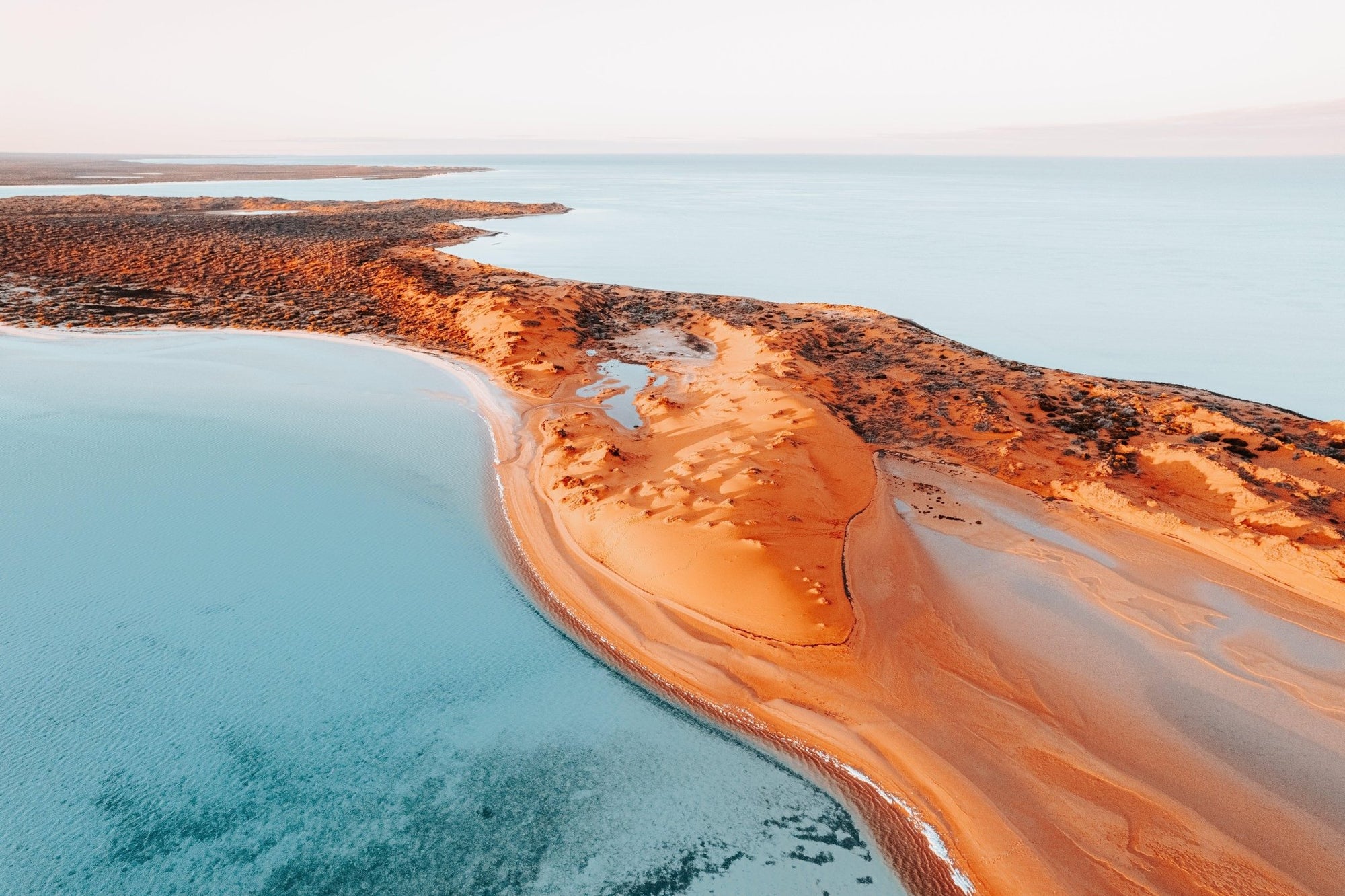 Hayden - Shark Bay Wall Art - Digital Download - Days Adrift