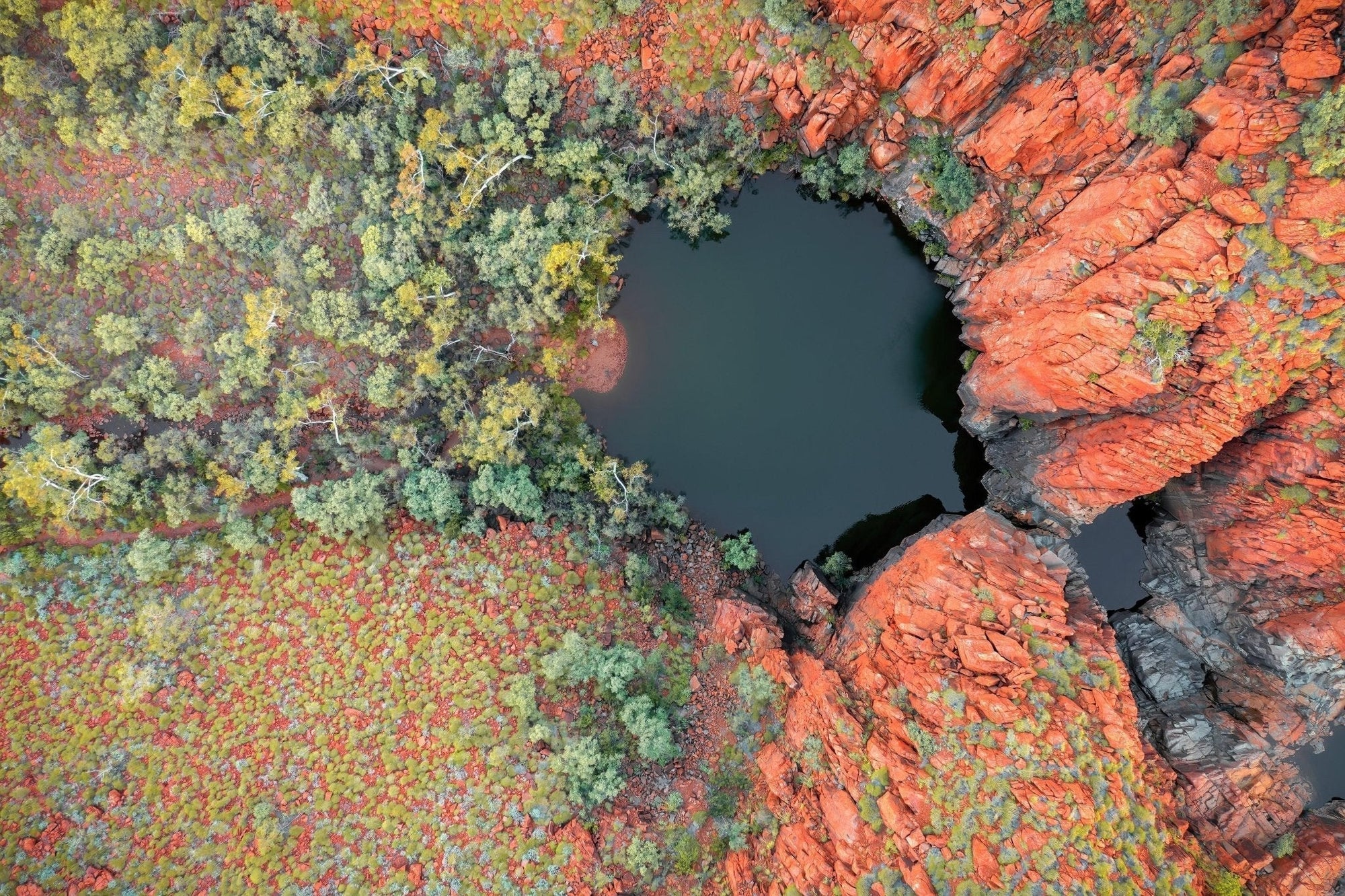 Hylas - Python Pool Wall Art - Digital Download - Days Adrift
