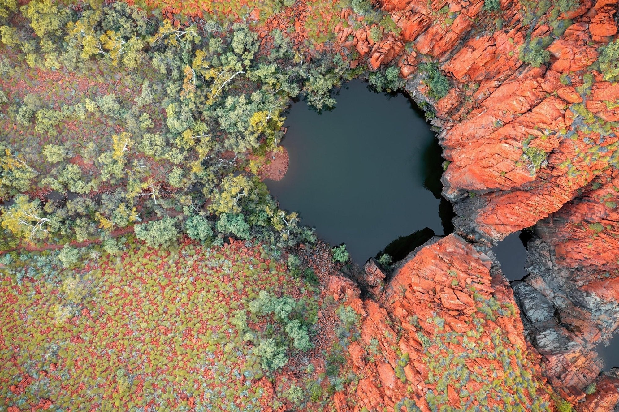 Hylas - Python Pool Wall Art - Digital Download - Days Adrift